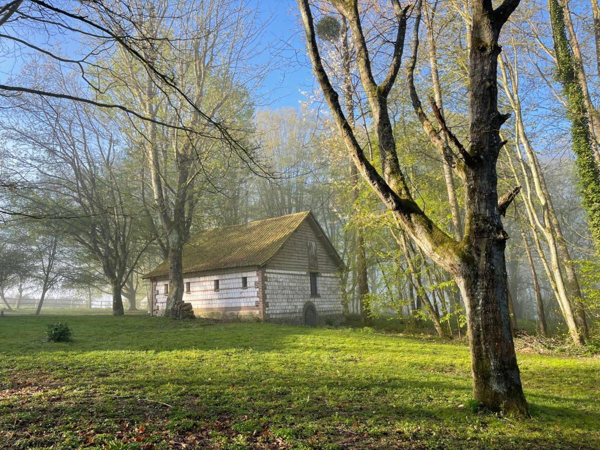 Domaine De Fresnoy Bed and Breakfast Loison-sur-Créquoise Eksteriør billede